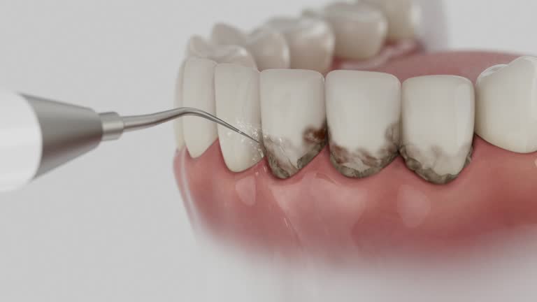 Reliable Dental contractor in Ravenna, OH by Dentist Open Now